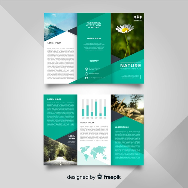 Detail Nature Brochure Template Nomer 33