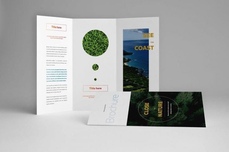 Detail Nature Brochure Template Nomer 50