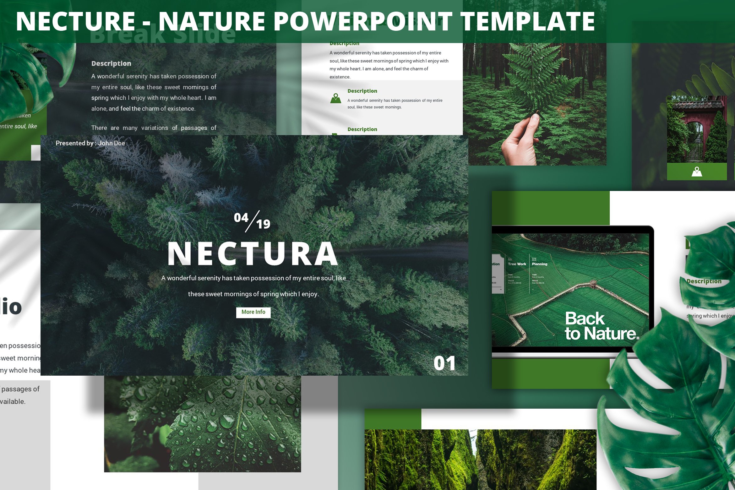 Detail Nature Ppt Template Nomer 9