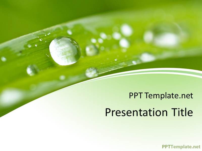 Detail Nature Ppt Template Nomer 7