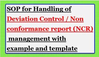 Detail Ncr Report Template Nomer 52