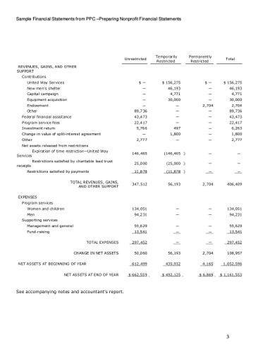 Detail Non Profit Financial Report Template Nomer 14