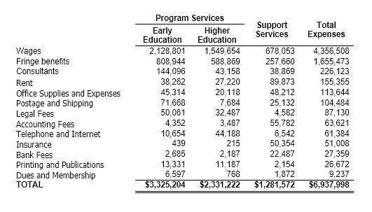 Detail Non Profit Financial Report Template Nomer 16