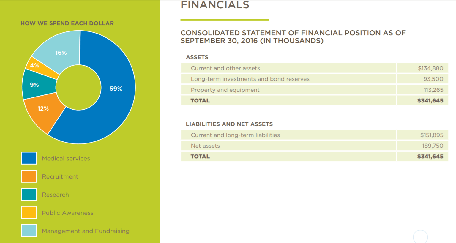 Detail Non Profit Financial Report Template Nomer 21