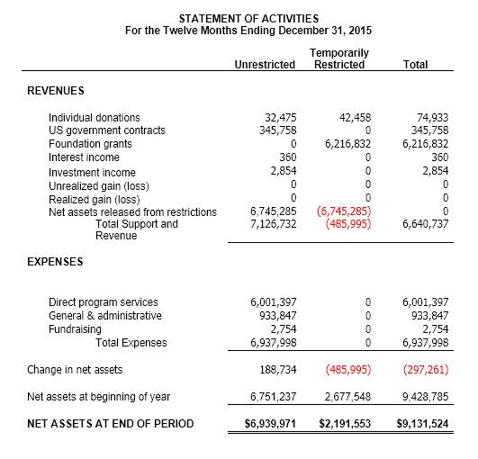 Detail Non Profit Financial Report Template Nomer 31