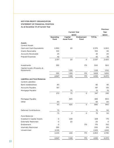 Detail Non Profit Financial Statement Template Nomer 5