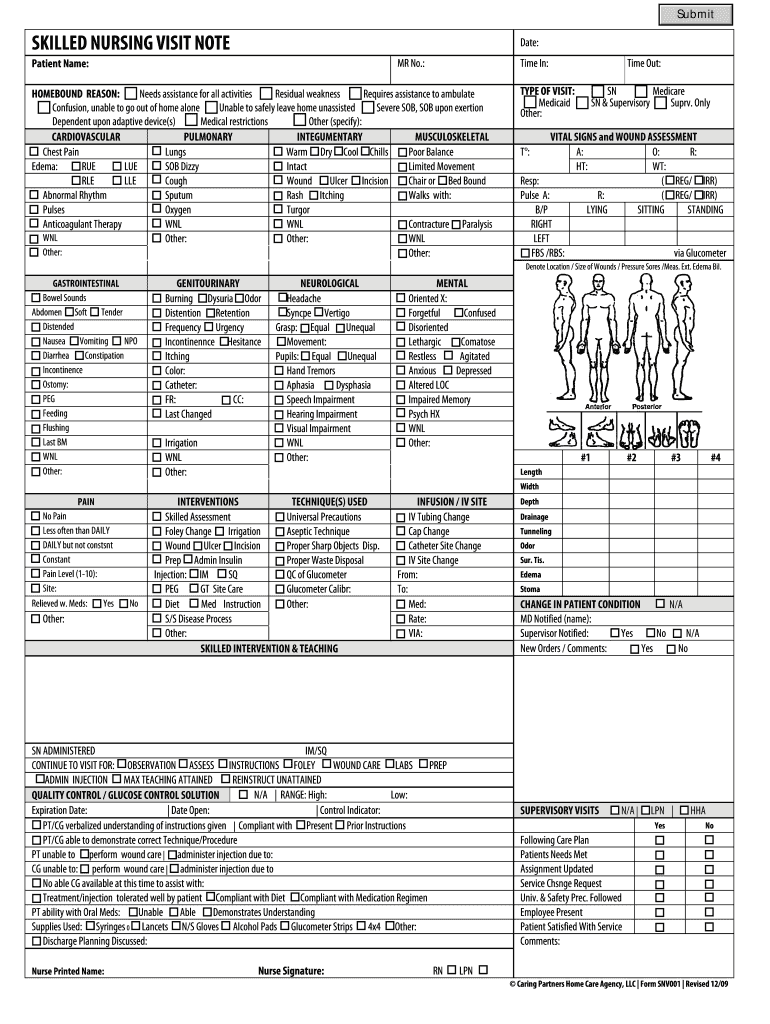 Detail Nursing Notes Template Nomer 26