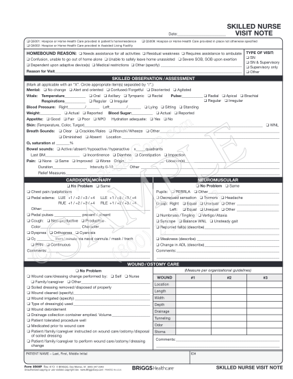 Detail Nursing Notes Template Nomer 50