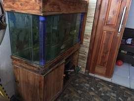 Detail Olx Aquarium Bandung Nomer 26