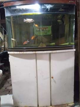 Detail Olx Aquarium Bandung Nomer 6