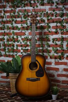 Detail Olx Gitar Surabaya Nomer 41