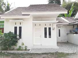 Olx Rumah Jogja - KibrisPDR