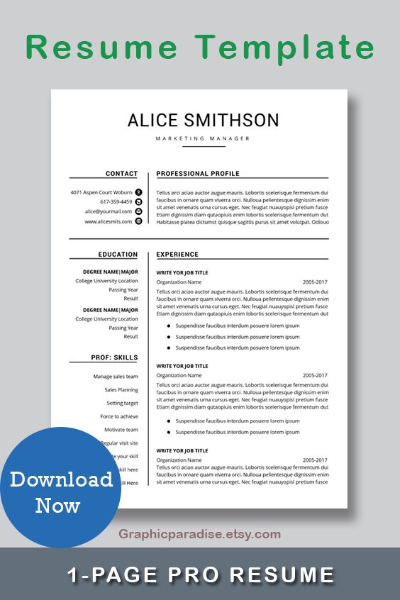 Detail One Page Cv Template Free Download Nomer 31