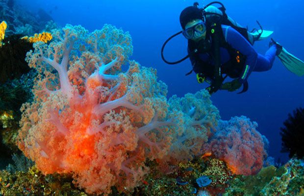 Detail Open Trip Pulau Cinta Gorontalo Nomer 30