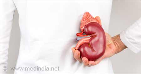 Detail Organ Perut Manusia Nomer 51