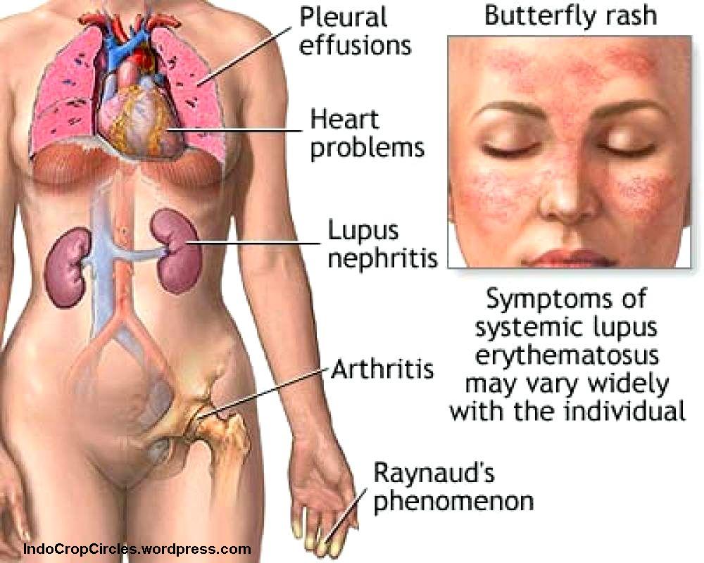 Detail Organ Tubuh Manusia Perempuan Nomer 50