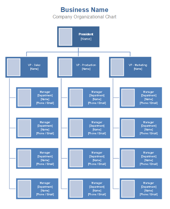 Detail Organizational Chart Template Nomer 18