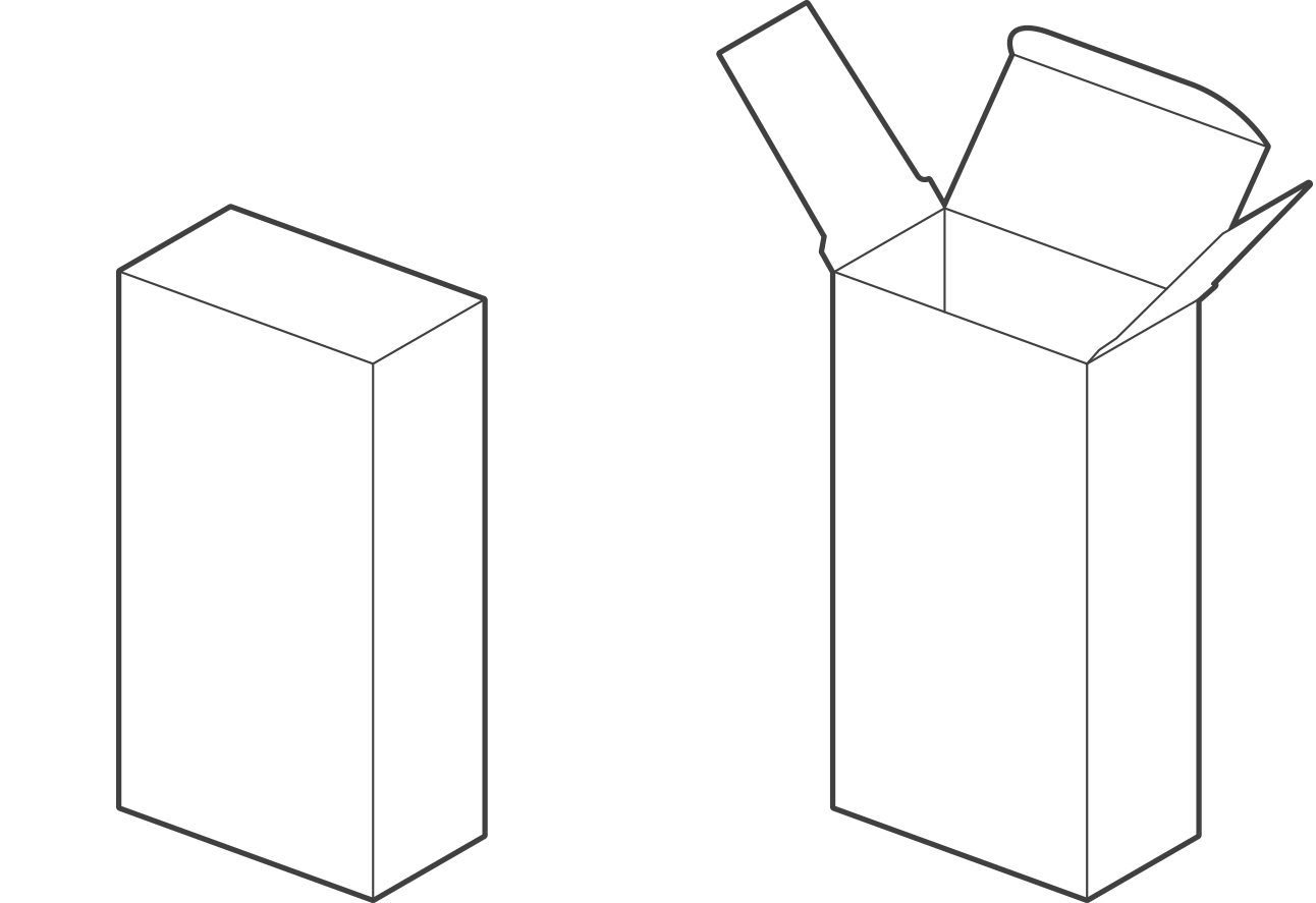 Detail Packaging Box Template Nomer 12