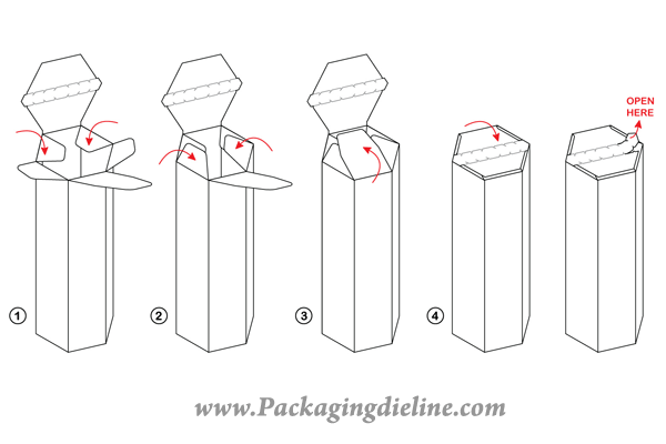 Detail Packaging Template Vector Free Download Nomer 13