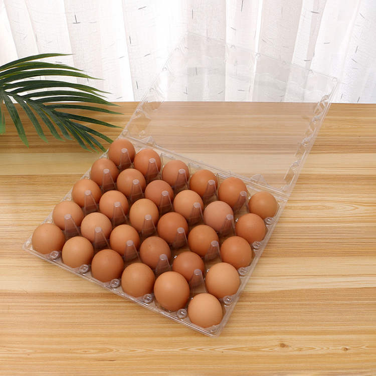 Packing Telur Ayam - KibrisPDR