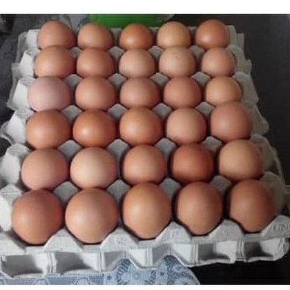 Detail Packing Telur Ayam Nomer 10