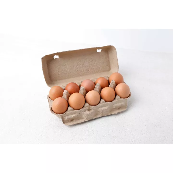 Detail Packing Telur Ayam Nomer 19