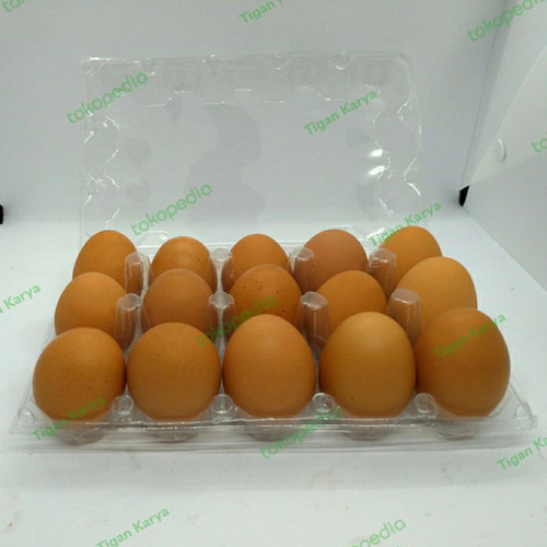 Detail Packing Telur Ayam Nomer 23