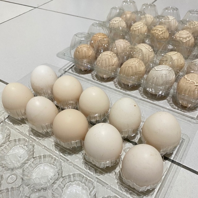 Detail Packing Telur Ayam Nomer 29