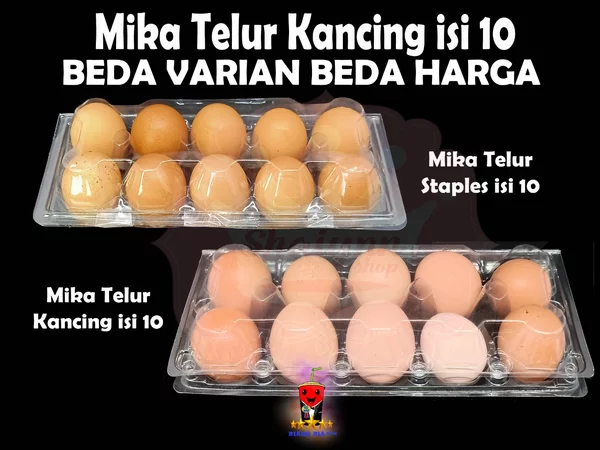 Detail Packing Telur Ayam Nomer 30