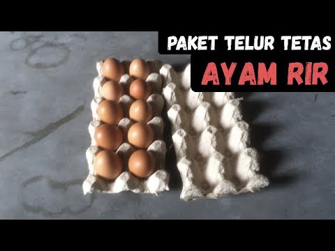 Detail Packing Telur Ayam Nomer 4