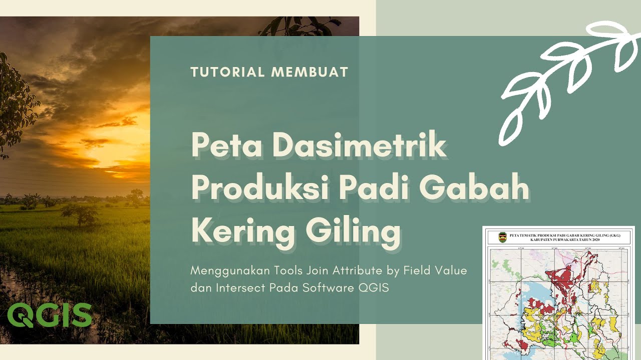 Detail Padi Gabah Gambar Vektor Nomer 23