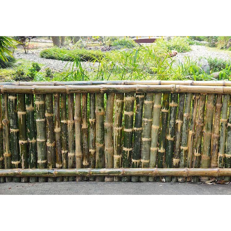 Detail Pagar Dari Bambu Untuk Taman Nomer 3