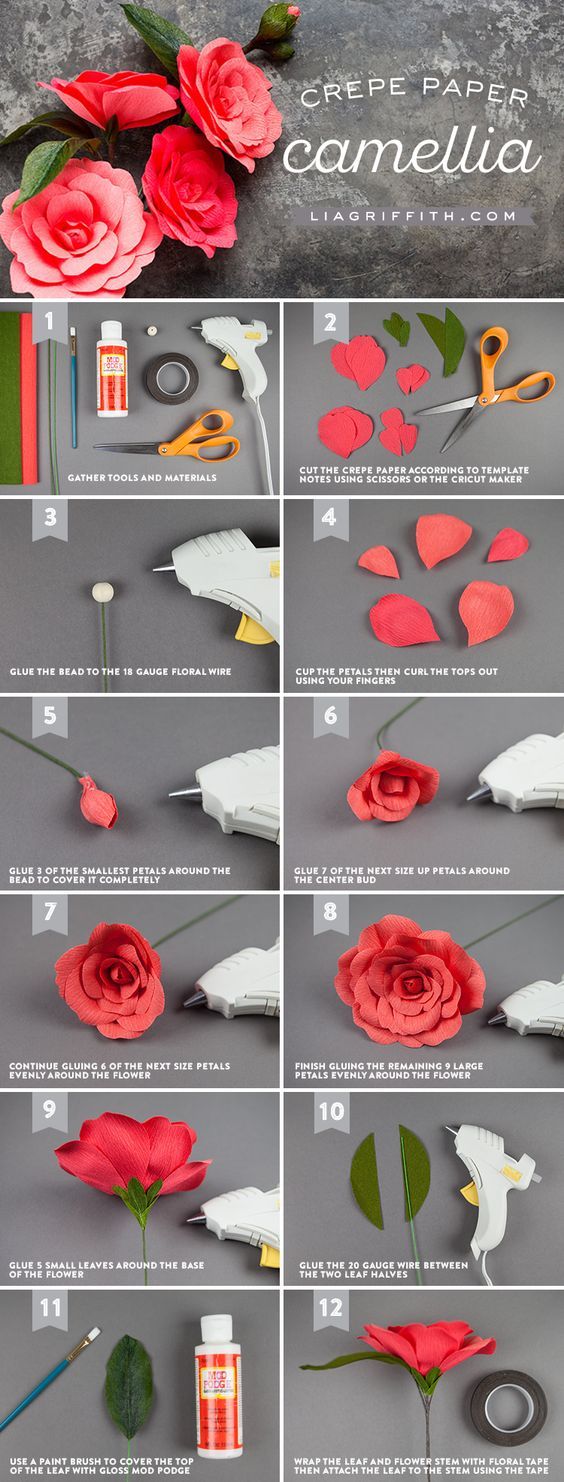 Detail Paper Camellia Flower Template Nomer 24