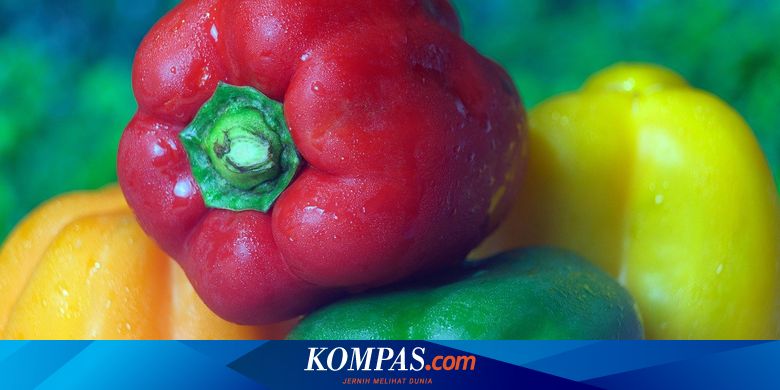 Detail Paprika Hijau Dimasak Apa Nomer 26