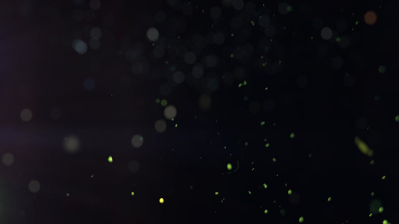 Detail Particle Footage Free Download Nomer 12