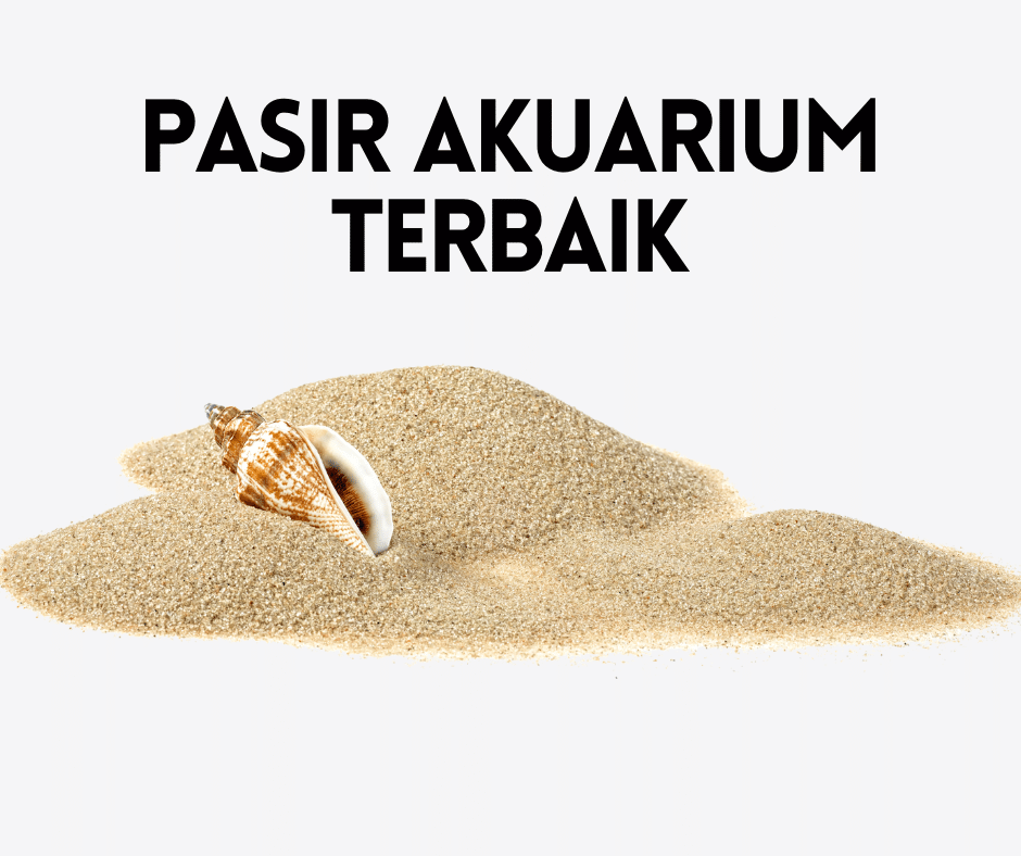 Detail Pasir Untuk Akuarium Nomer 24