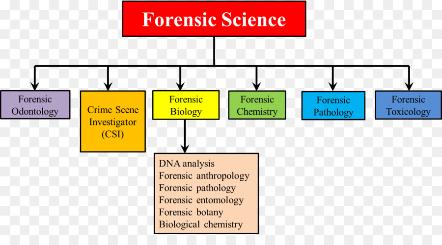 Detail Patologi Forensik Adalah Nomer 24