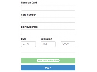 Detail Payment Form Template Bootstrap Nomer 2