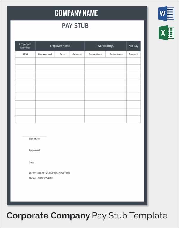 Detail Payroll Check Stub Template Nomer 18