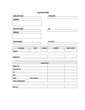 Detail Payroll Check Stub Template Nomer 20