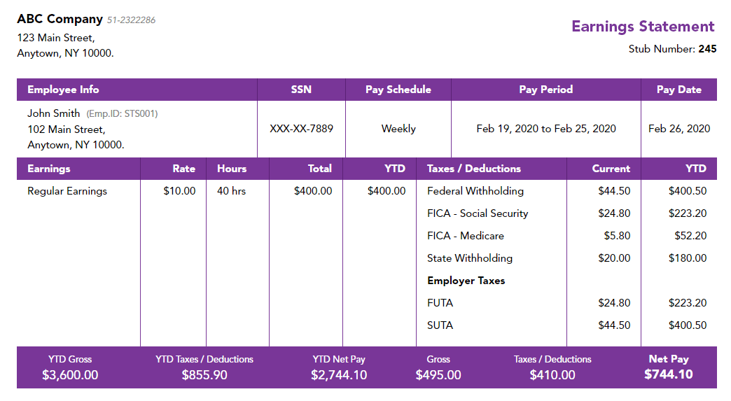 Detail Payroll Check Stub Template Nomer 3
