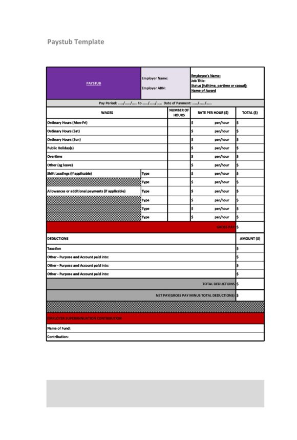 Detail Payroll Check Stub Template Nomer 34