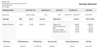 Detail Payroll Check Stub Template Nomer 44