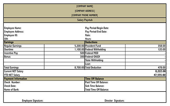 Detail Payroll Check Stub Template Nomer 46
