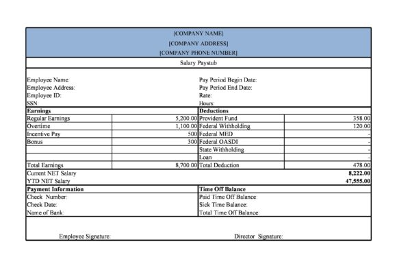 Detail Payroll Check Stub Template Nomer 53