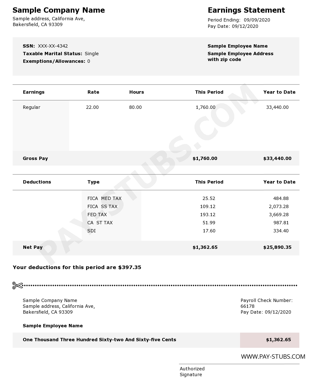 Detail Payroll Check Stub Template Nomer 10