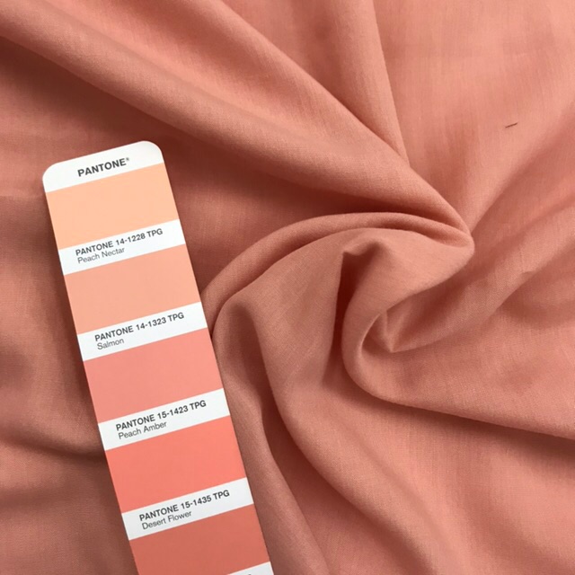 Detail Peach Warna Apa Nomer 33