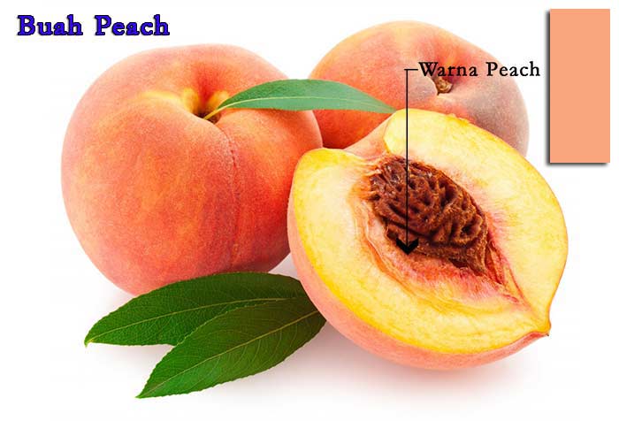 Detail Peach Warna Apa Nomer 41