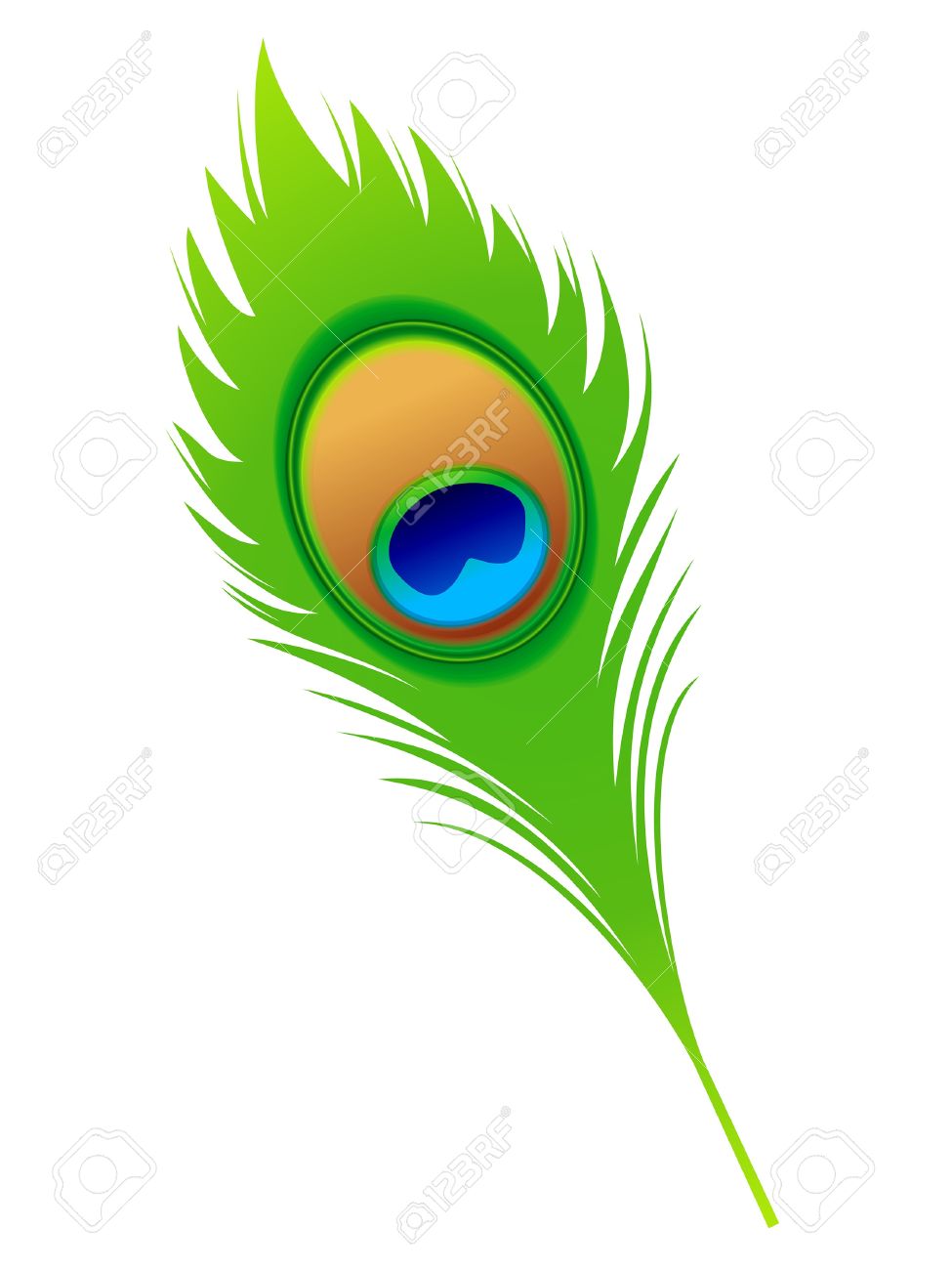 Detail Peacock Feather Vector Nomer 16