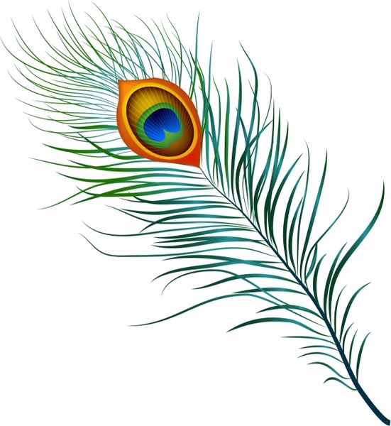 Detail Peacock Feather Vector Nomer 17